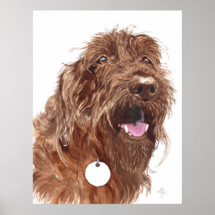 Chocolate Labradoodle #1, Kanvastryck Poster