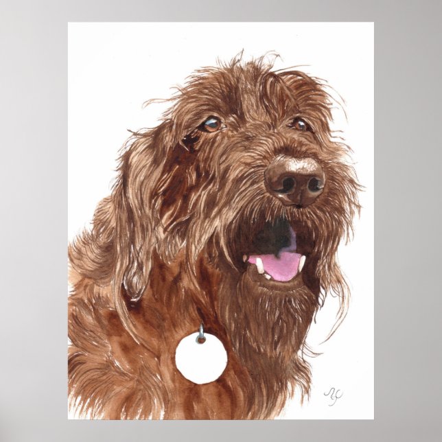 Chocolate Labradoodle #1, Kanvastryck Poster (Framsidan)