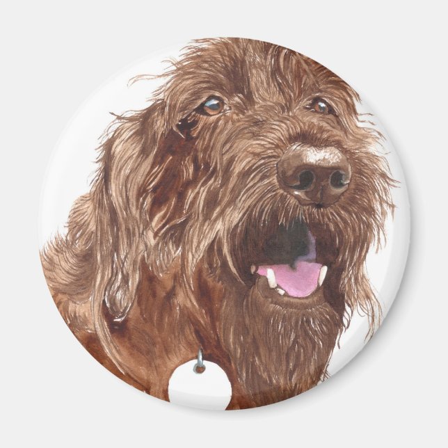 Chocolate Labradoodle #1 Magnet (Framsidan)
