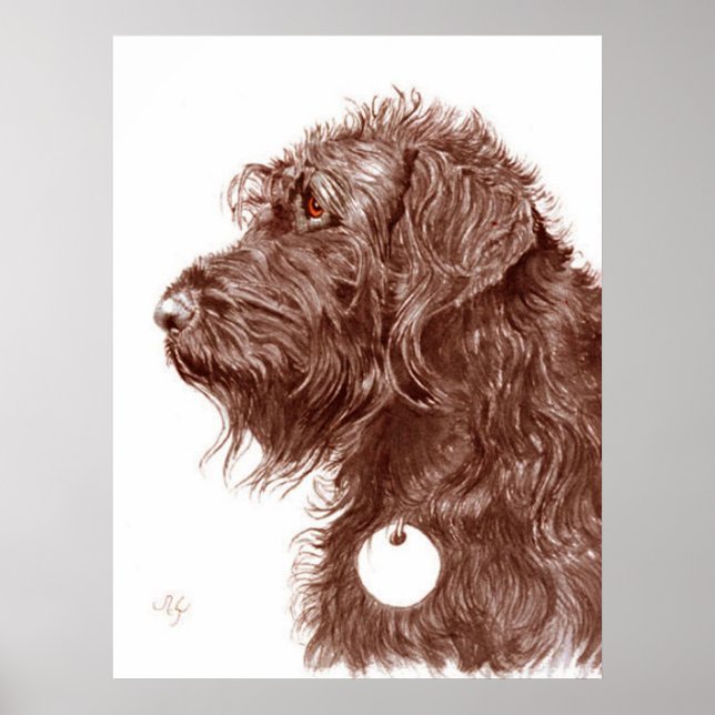 Chocolate Labradoodle-utskrift Poster (Framsidan)