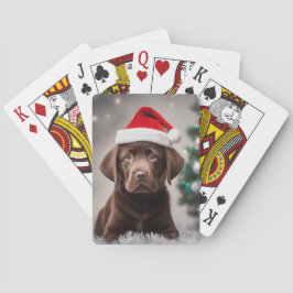 Chocolate Labrador Casinokort