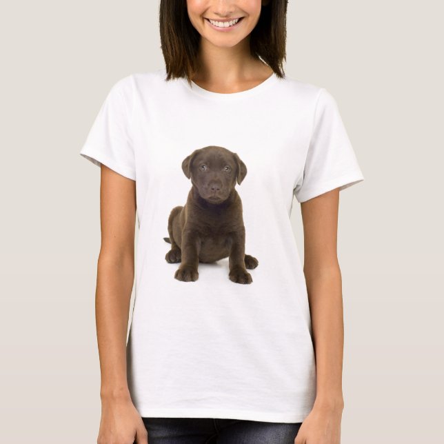Chocolate Labrador Dam T-Shirt (Framsida)