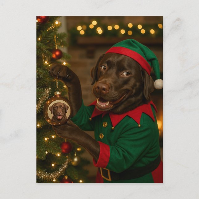 Chocolate  Labrador Dog Christmas Holiday postcard Helg Vykort (Framsida)