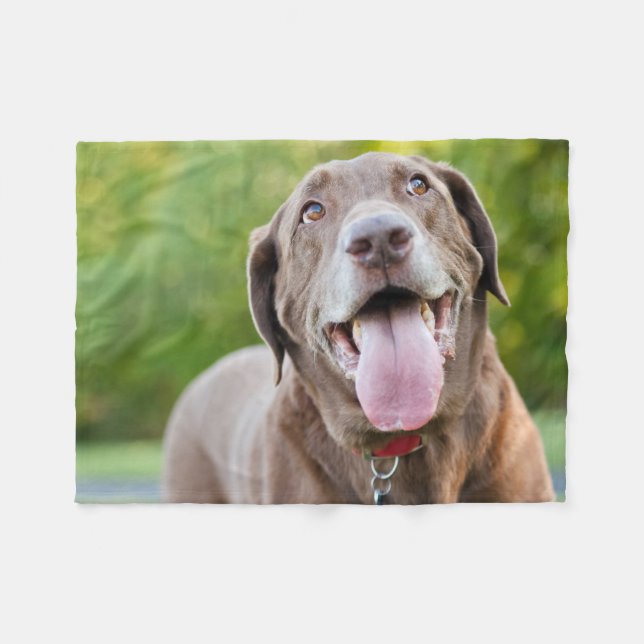 Chocolate Labrador Dog Fleecefilt (Framsidan (Horisontell))