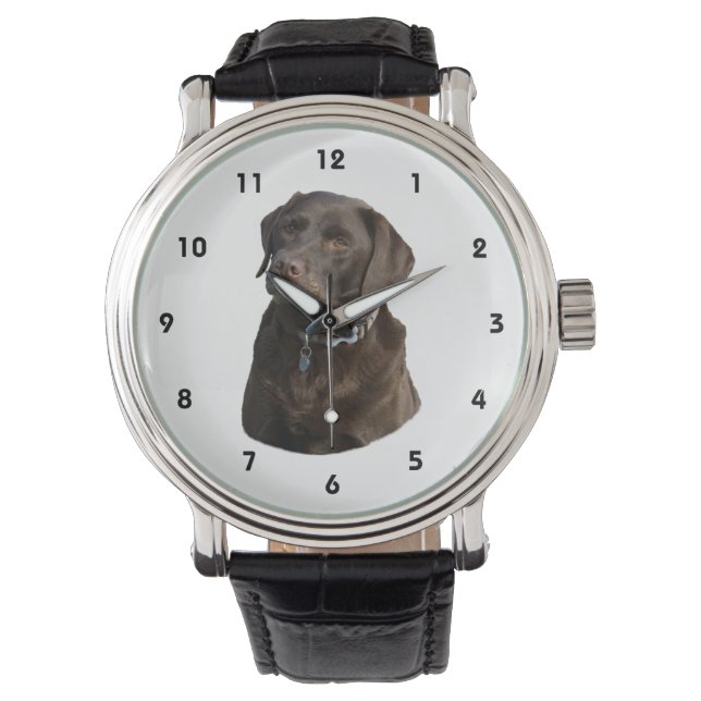 Chocolate Labrador-foto porträtt Armbandsur (Framsida)