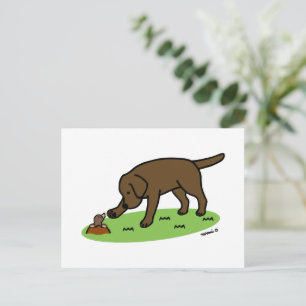 Chocolate Labrador Friendly Postcard Vykort