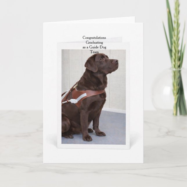 Chocolate Labrador Guide Dog Graduation Kort (Framsida)