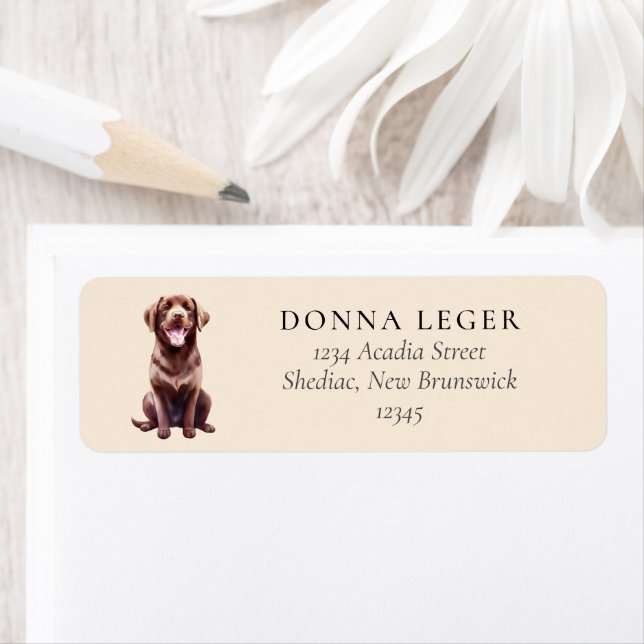 Chocolate Labrador Hund Adress Returadress Etikett (Insitu)