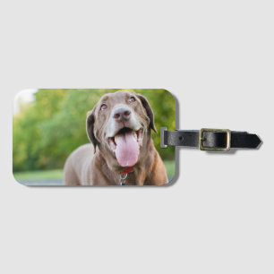 Chocolate Labrador Hund Bagagebricka