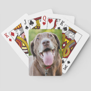 Chocolate Labrador Hund Casinokort