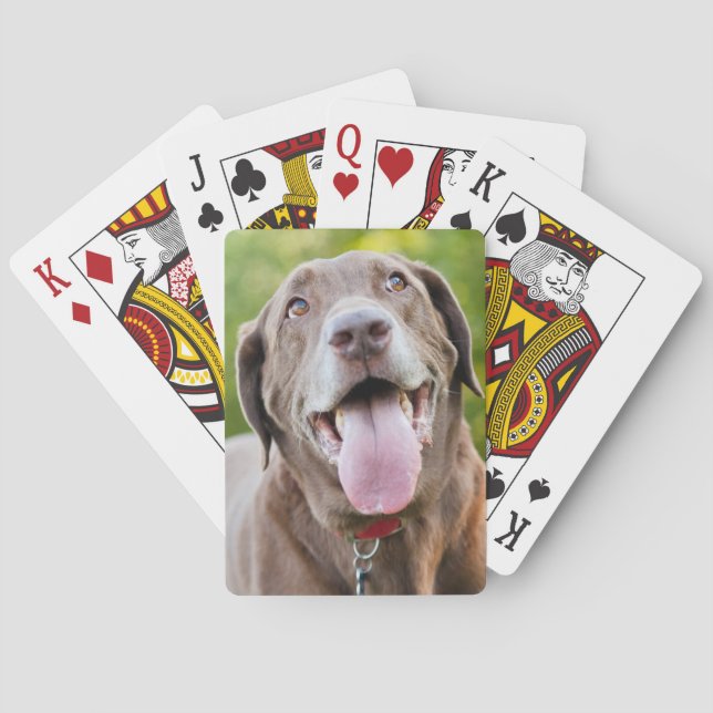 Chocolate Labrador Hund Casinokort (Baksidan)