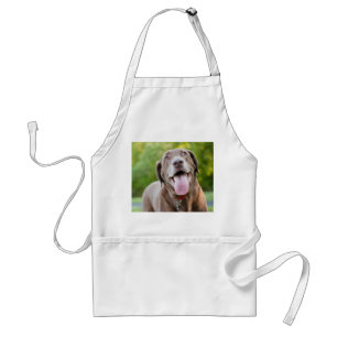 Chocolate Labrador Hund Förkläde