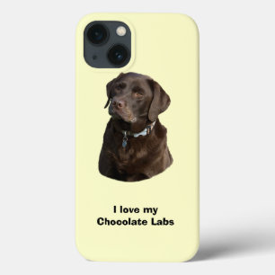 Chocolate Labrador hund foto porträtt