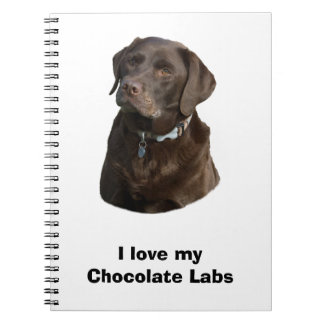 Chocolate Labrador hund foto porträtt Anteckningsbok Med Spiral