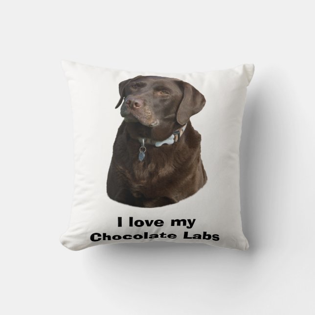 Chocolate Labrador hund foto porträtt Kudde (Framsida)