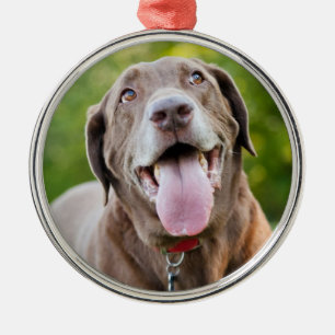 Chocolate Labrador Hund Julgransprydnad Metall