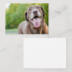 Chocolate Labrador Hund Visitkort