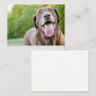 Chocolate Labrador Hund Visitkort