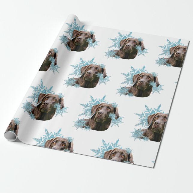Chocolate Labrador i Snöflingor Presentpapper (Utrullad)