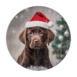 Chocolate Labrador-jul