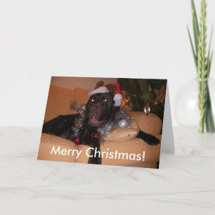 Chocolate Labrador-julkort Helgkort