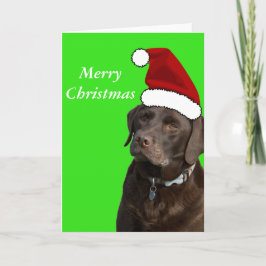 Chocolate Labrador-julkort Helgkort