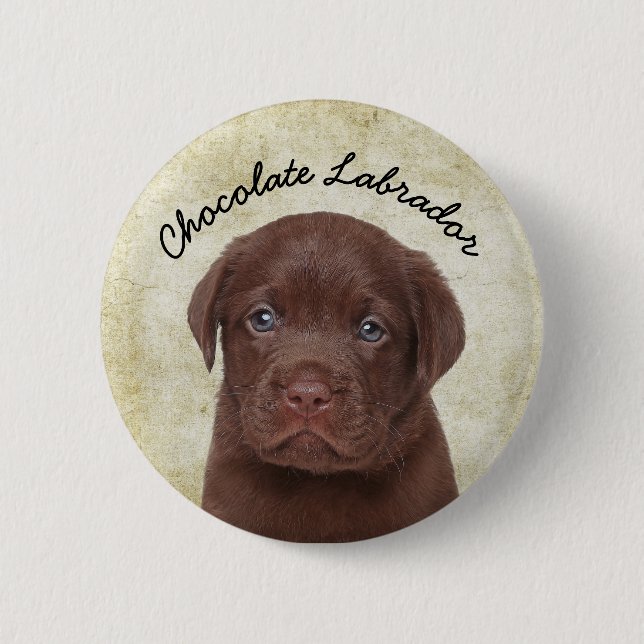 Chocolate Labrador Knapp (Framsida)