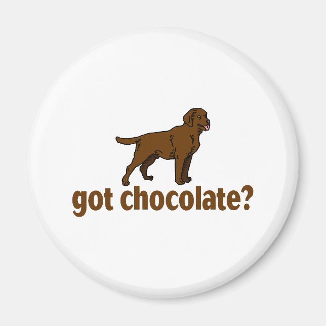 Chocolate Labrador Magnet (Framsidan)