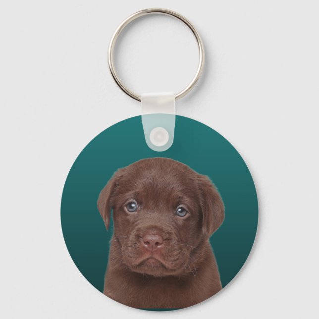 Chocolate Labrador Nyckelring (Framsida)