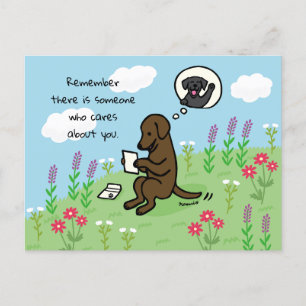 Chocolate Labrador och Brev Någon Cares Vykort