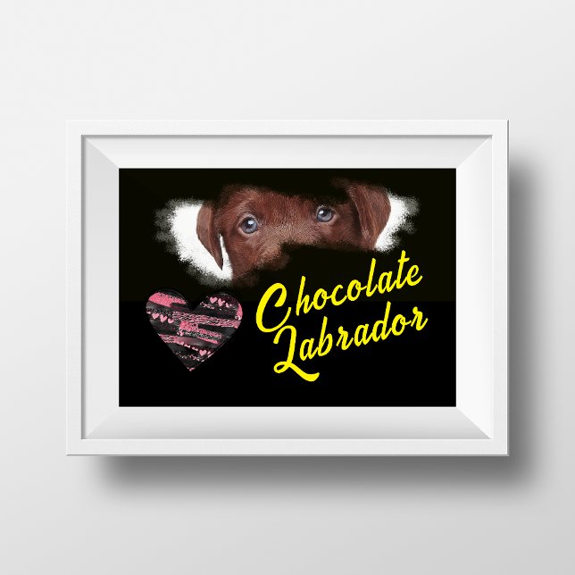 Chocolate Labrador Öga Solid Färg Poster (Skapare uppladdad)