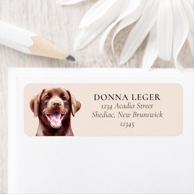 Chocolate Labrador Personlig Adress Returadress Etikett (Insitu)