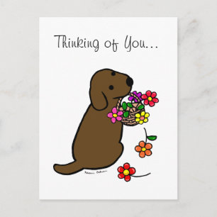 Chocolate Labrador Puppy Flower Basket Tecknad Vykort