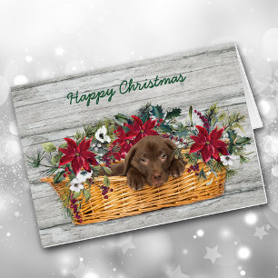 Chocolate Labrador Puppy i Basket-julkort Hälsningskort