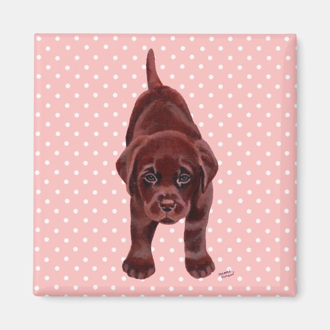 Chocolate Labrador Puppy Magnet (Framsidan)