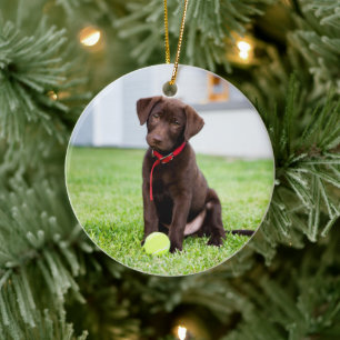 Chocolate Labrador Puppy med tennis Boll Julgransprydnad Keramik