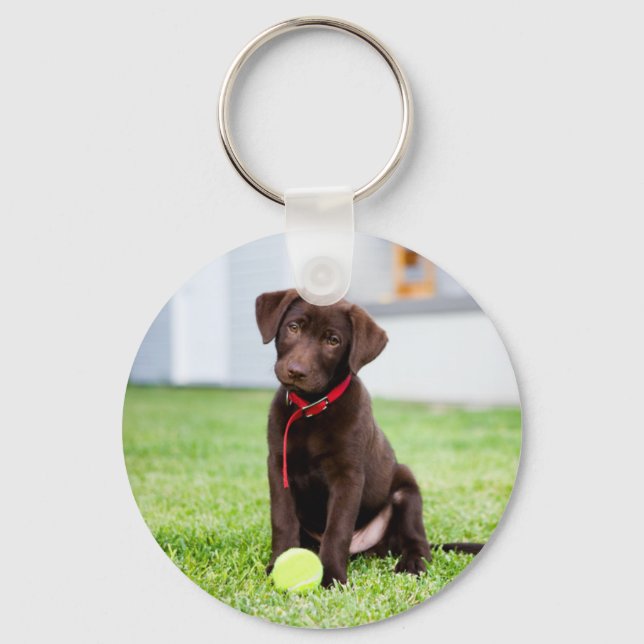 Chocolate Labrador Puppy med tennis Boll Nyckelring (Framsida)