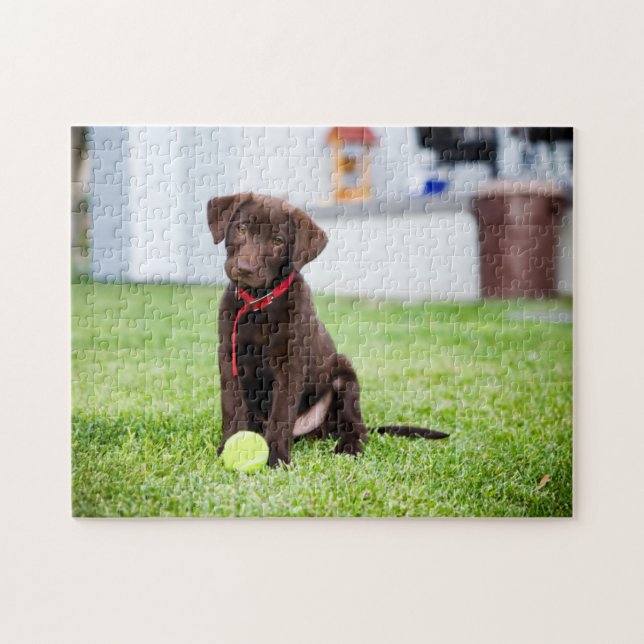 Chocolate Labrador Puppy med tennis Boll Pussel (Horisontell)