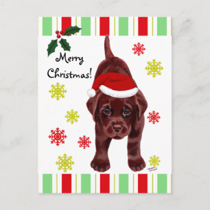 Chocolate Labrador Puppy & Santa Hat-jul Helg Vykort