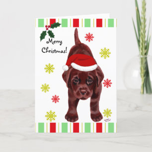 Chocolate Labrador Puppy & Santa Hat-jul Helgkort