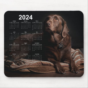 Chocolate Labrador Retriever 2024 Calendar Musmatta
