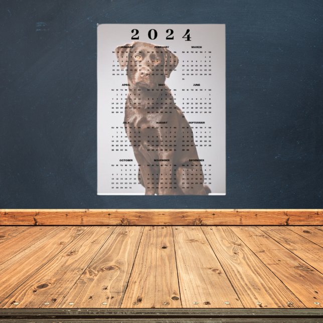 Chocolate Labrador Retriever 2024 Väggkalender Poster (Skapare uppladdad)