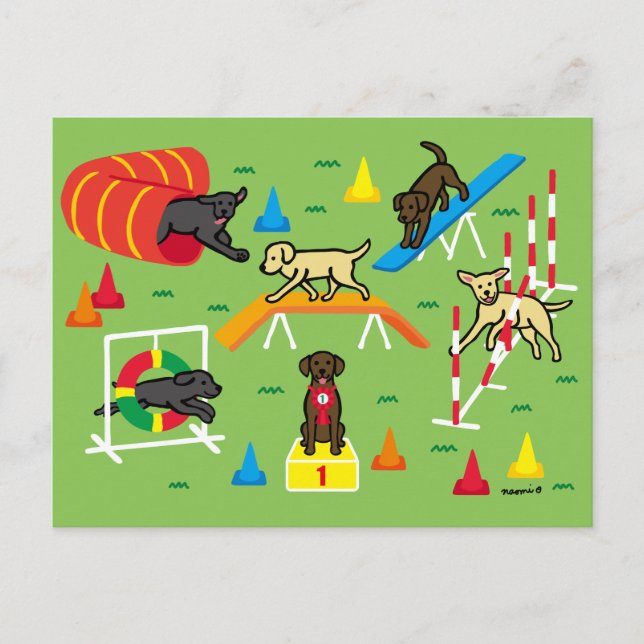 Chocolate Labrador Retriever Agilitet Tecknad Vykort (Framsida)