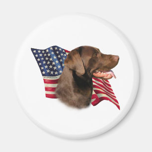 Chocolate Labrador Retriever American Flagga Magnet