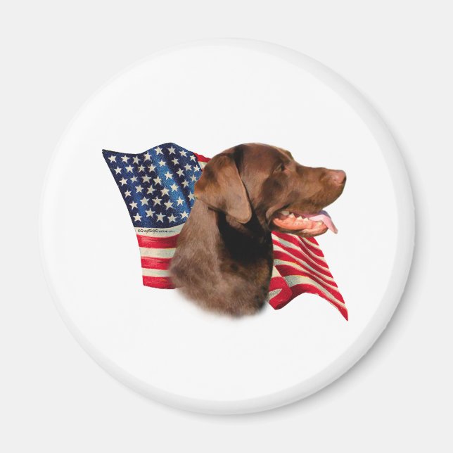 Chocolate Labrador Retriever American Flagga Magnet (Framsidan)