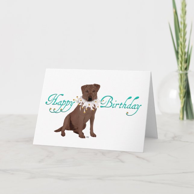 Chocolate Labrador Retriever Birthday Kort (Framsida)