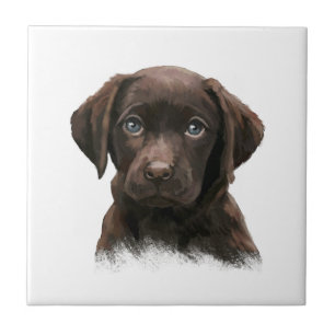 Chocolate Labrador Retriever Brown Kakelplatta