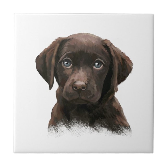 Chocolate Labrador Retriever Brown Kakelplatta (Framsidan)