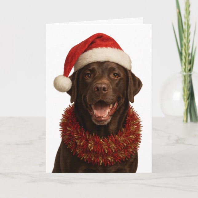 Chocolate Labrador Retriever Dog Christmas card Kort (Framsida)
