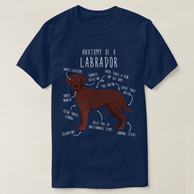 Chocolate Labrador Retriever Hund Anatomy 1 T Shirt (Design framsida)